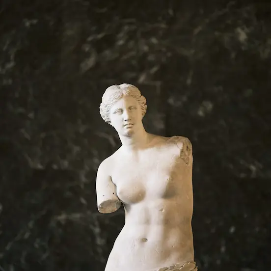 Hand-drawn botanical moon phases